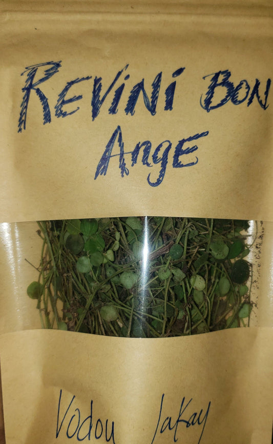 Haitian Vodou Herb - Revini Bon Ange